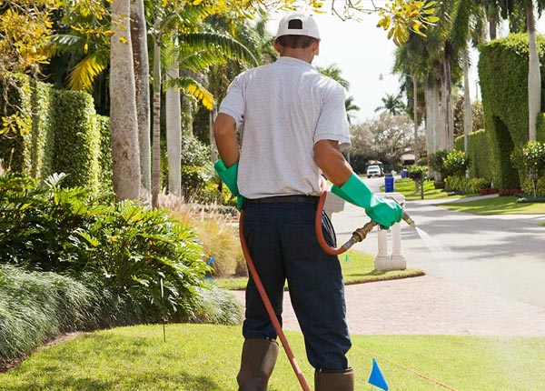 About Sturbridge MA Pest Control Pros
